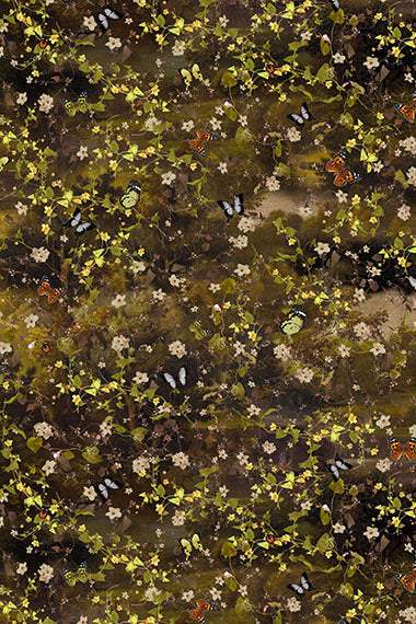 Among The Ferns Vines By Hoffman Fauna