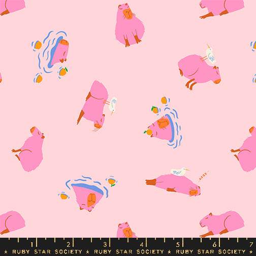 Animal Animal Capybara By Ruby Star Society For Moda Cotton Candy