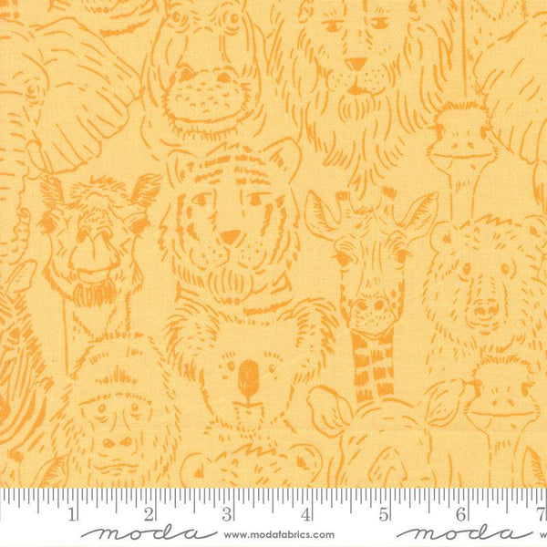 Animal Park Fun Big Happy Family By Stacy Iest Hsu For Moda Banana