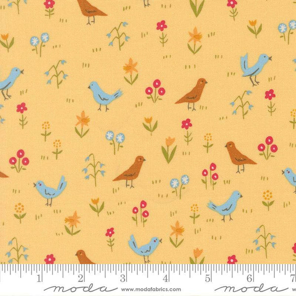 Animal Park Fun Bird Park By Stacy Iest Hsu For Moda Banana