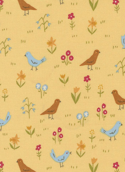 Animal Park Fun Bird Park By Stacy Iest Hsu For Moda Banana