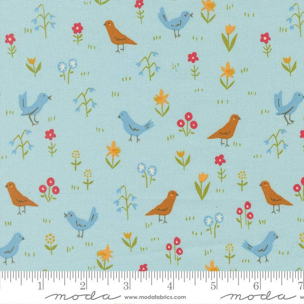 Animal Park Fun Bird Park By Stacy Iest Hsu For Moda Water