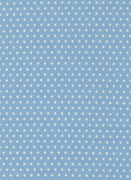 Animal Park Fun Dotty Dots By Stacy Iest Hsu For Moda Bluebird