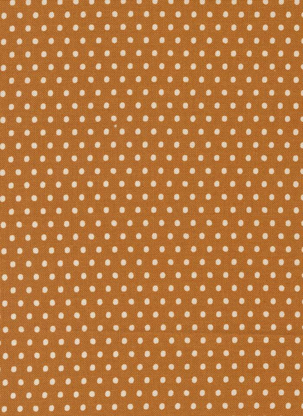 Animal Park Fun Dotty Dots By Stacy Iest Hsu For Moda Tiger