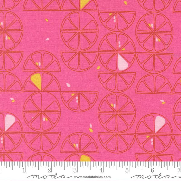 Balisong Lemon Slice By Zen Chic For Moda Hibiscus