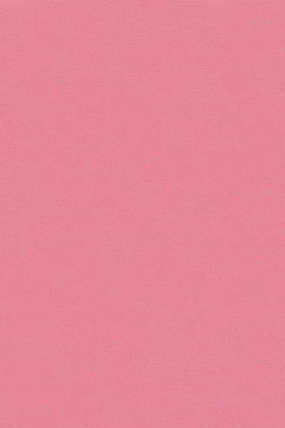 Bella Solids By Moda Camellia