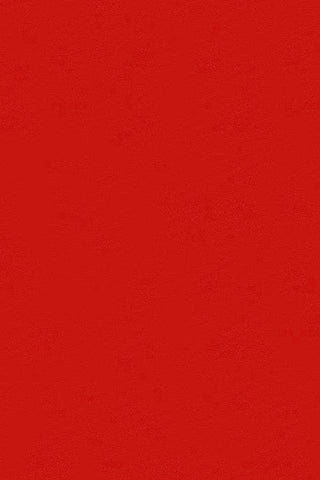 Bella Solids By Moda Ladybug