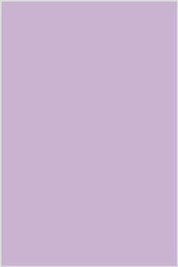 Broadcloth Light Purple