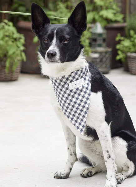 Burda - 5702 Pet Accessories