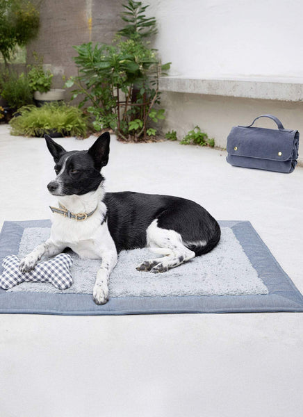 Burda - 5702 Pet Accessories