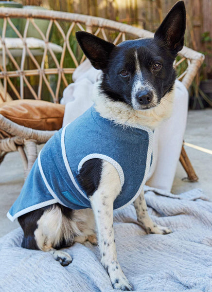 Burda - 5702 Pet Accessories