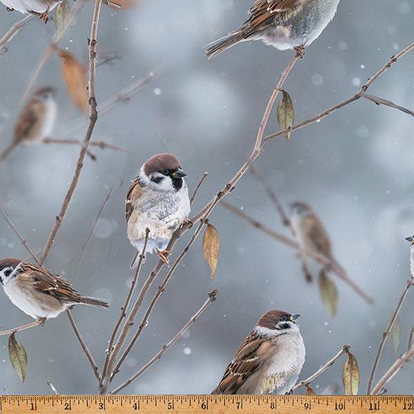 Call Of The Wild By Hoffman Sparrows