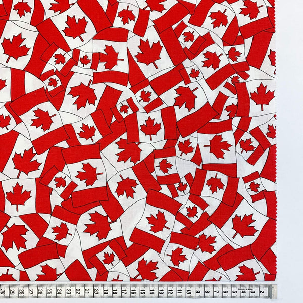 Canadian Flag Print
