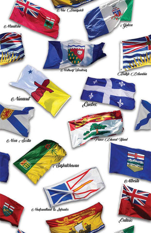 Canadian Road Trip Provincial Flags By Hoffman Exclusive For Trendtex Fabrics Digital White / Multi