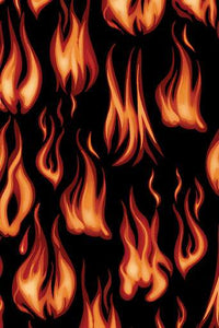 Chillin & Grillin Flames By Kanvas Studio For Benartex Digital Black / Red