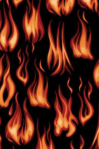 Chillin & Grillin Flames By Kanvas Studio For Benartex Digital Black / Red