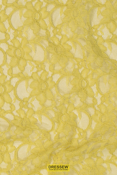 Corded Xanna Lace Chartreuse