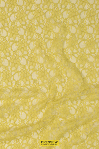 Corded Xanna Lace Chartreuse