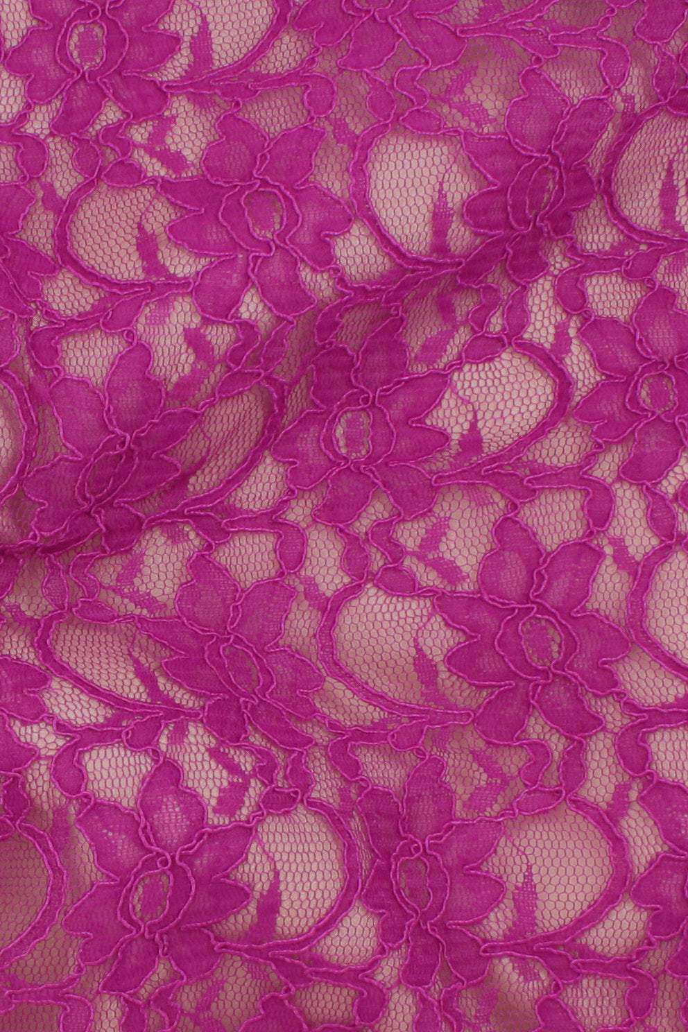 Corded Xanna Lace Dark Fuchsia