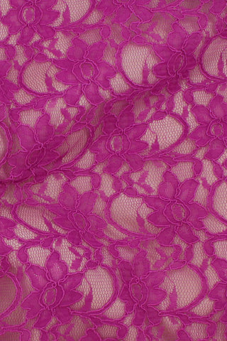 Corded Xanna Lace Dark Fuchsia