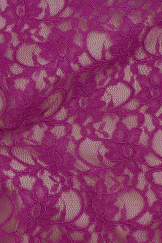 Corded Xanna Lace Magenta