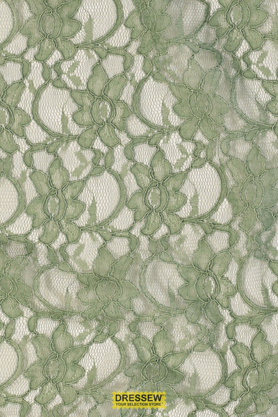 Corded Xanna Lace Sage