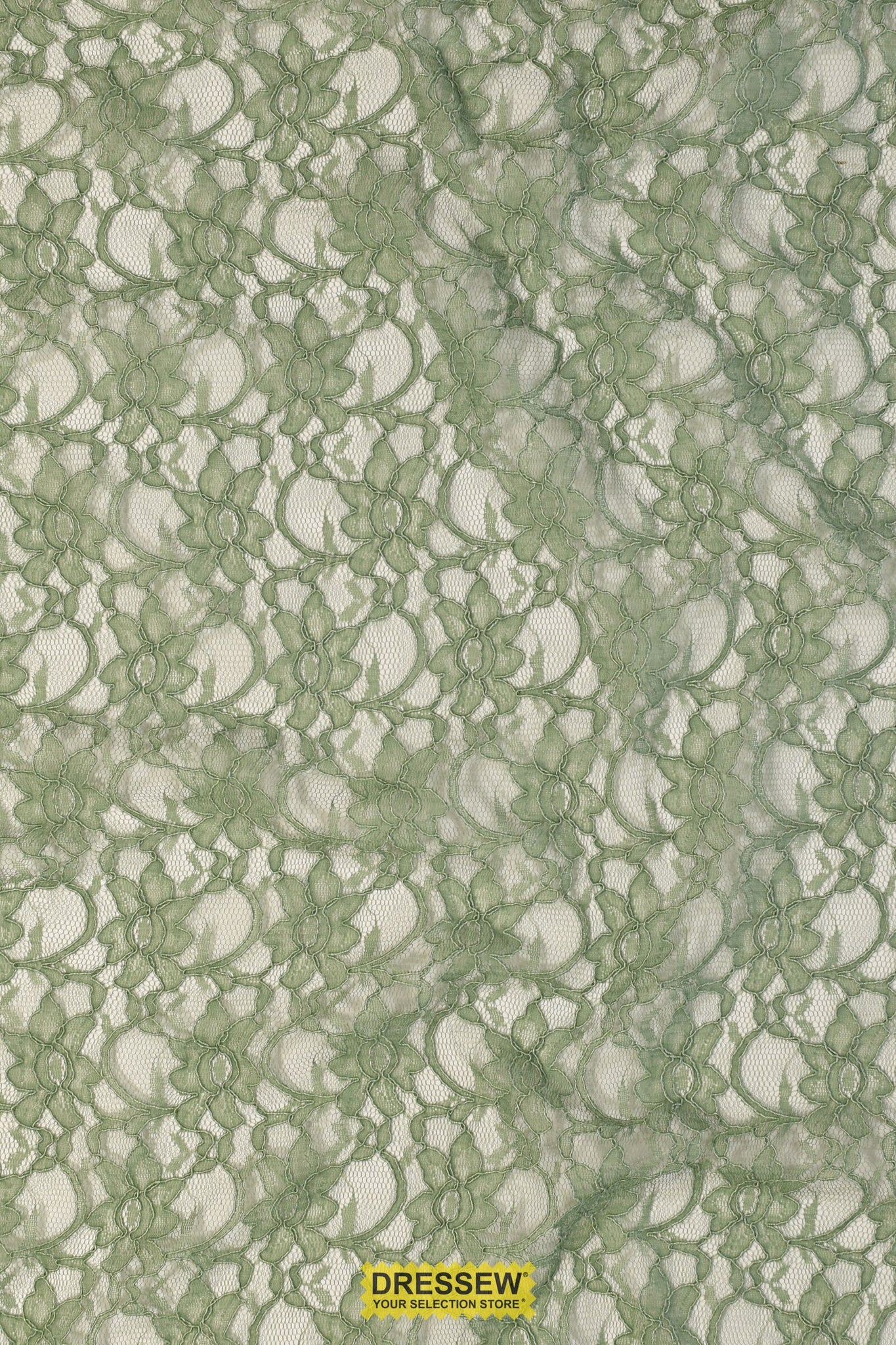 Corded Xanna Lace Sage