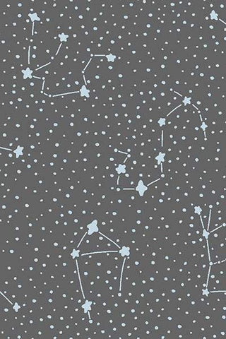 Cosmic Sea Galaxy By Calli And Co. For Cotton + Steel Overcast