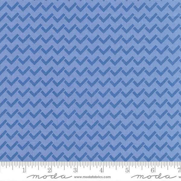 Creativity Roars Check Yourself By Creativity Shell For Moda Bluesky