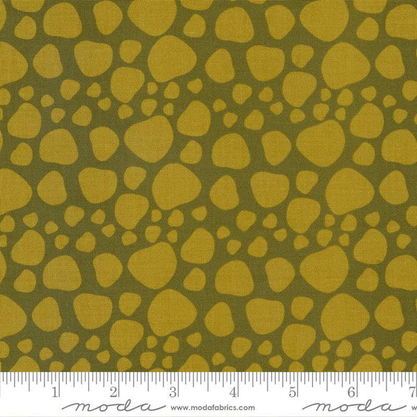 Creativity Roars Dino Spots By Creativity Shell For Moda Pickle