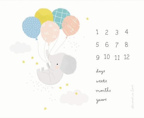 Delivered With Love Milestone Panel By Paper & Cloth For Moda Cloud