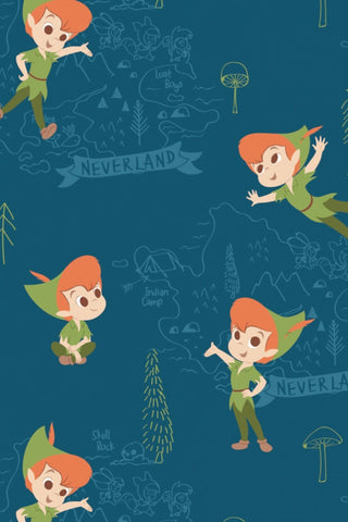 Disney Peter Pan Flannel Neverland Adventures Teal