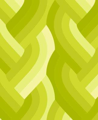 Echo Braid By Emily Van Hoff For Moda Acid Green