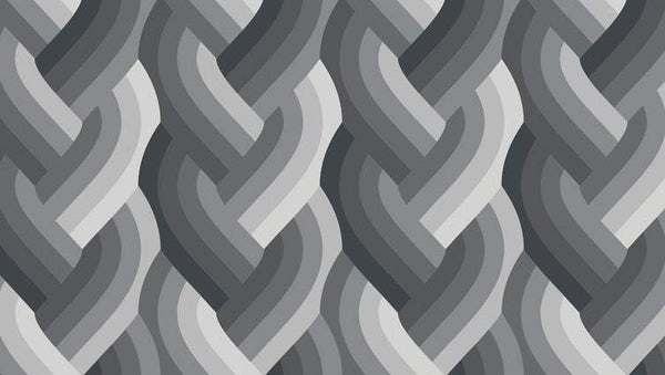 Echo Braid By Emily Van Hoff For Moda Black