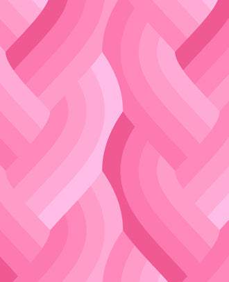 Echo Braid By Emily Van Hoff For Moda Pink