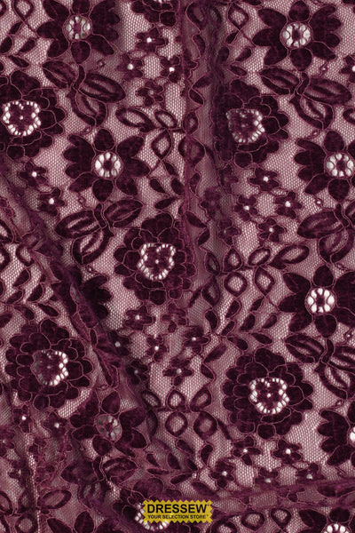 Elise Chenille Lace Plum