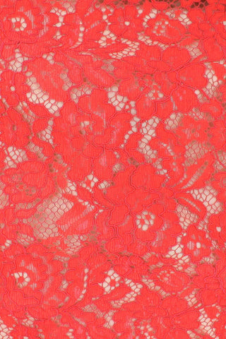 Flora Corded Double Scalloped Lace Coral