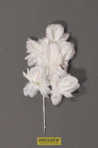 Flower Spray - Bag of 12 - White Iris