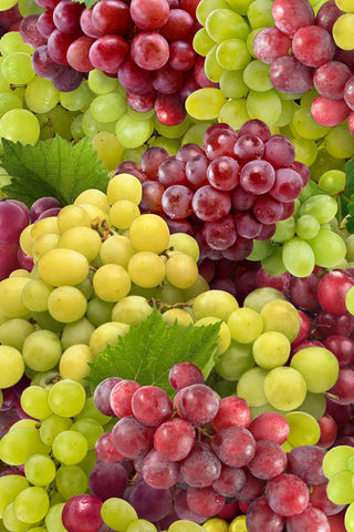 Food Festival Grapes - Multi