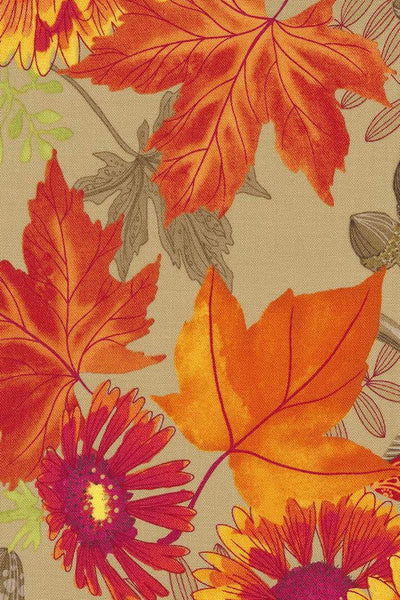 Forest Frolic Blanket Flowers By Robin Pickens For Moda Caramel