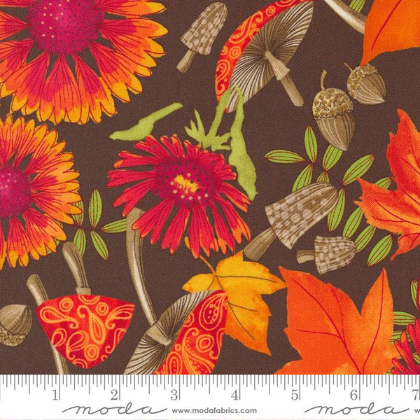 Forest Frolic Blanket Flowers By Robin Pickens For Moda Chocolate