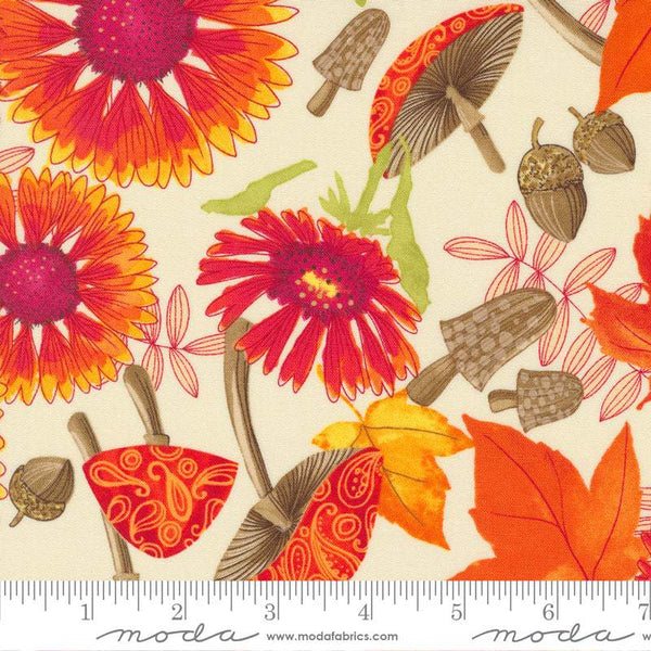 Forest Frolic Blanket Flowers By Robin Pickens For Moda Cream