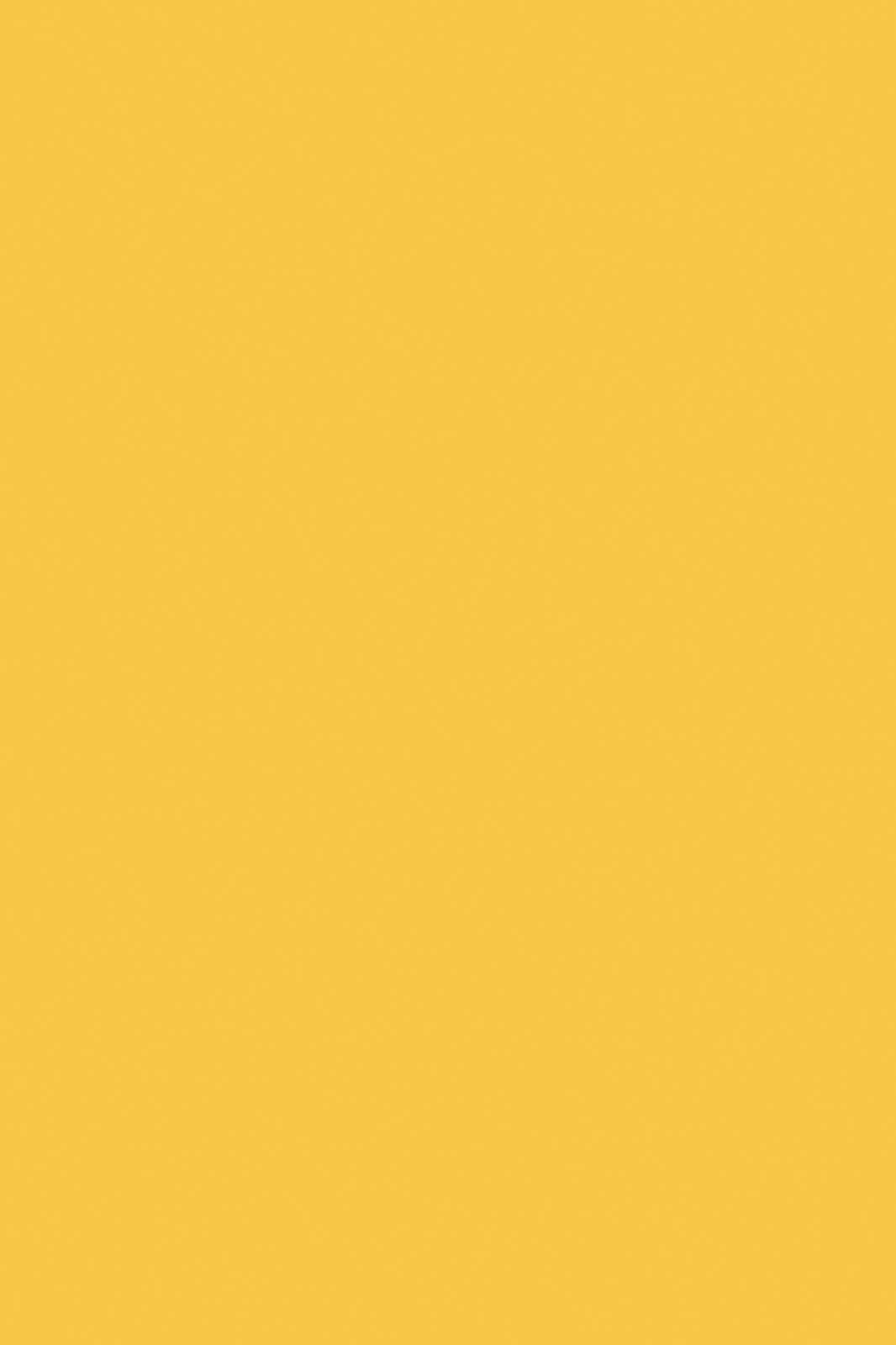 Fresh Solids Cotton Buttercup