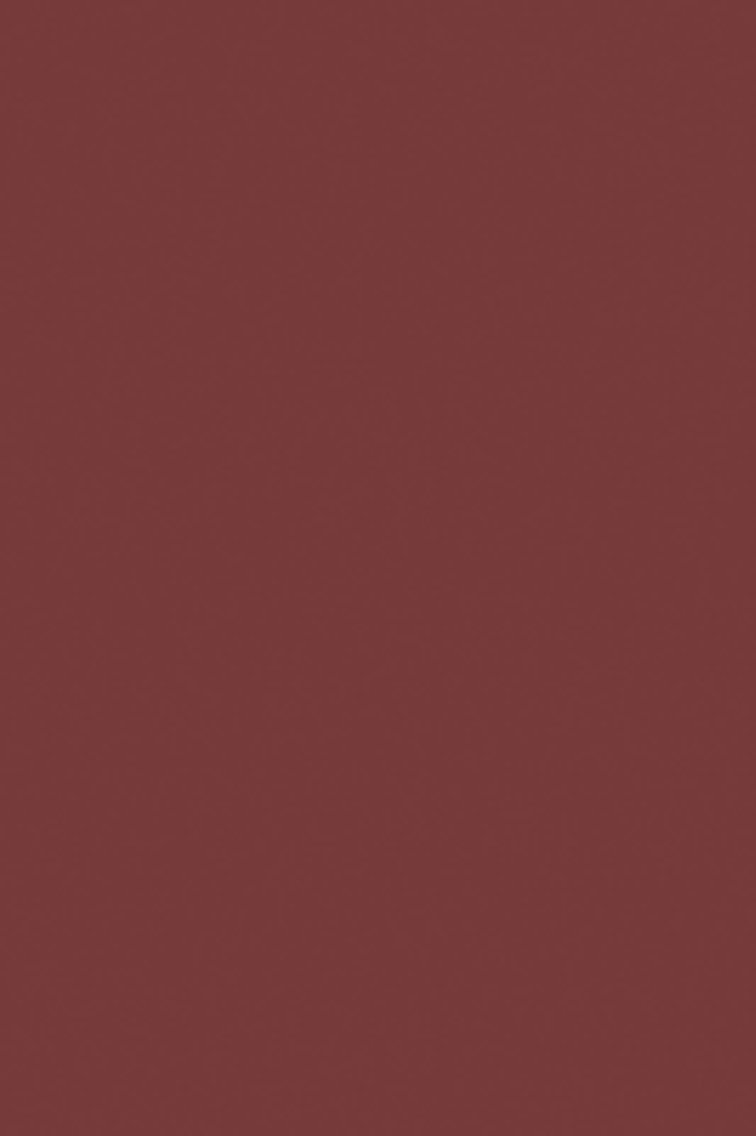 Fresh Solids Cotton Russet