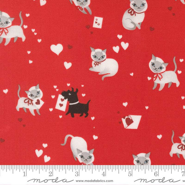 Funny Valentine Cats & Dogs By Lizzy House For Moda Love
