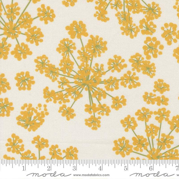 Garden Series Fennel By Katharine Watson For Moda Cream