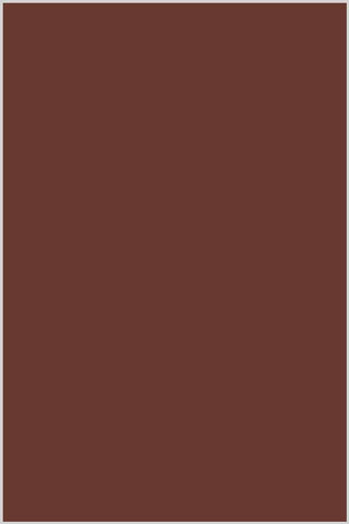 Genziana Cotton Thread 1,300m #2794 Chocolate