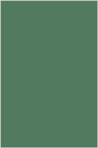 Genziana Cotton Thread 1,300m #3253 Green Leaf