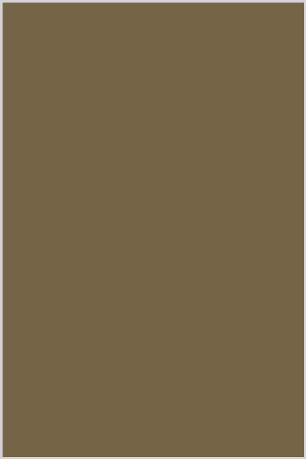 Genziana Cotton Thread 1,300m #50 Olive