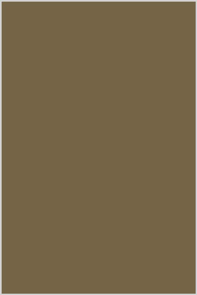 Genziana Cotton Thread 1,300m #50 Olive